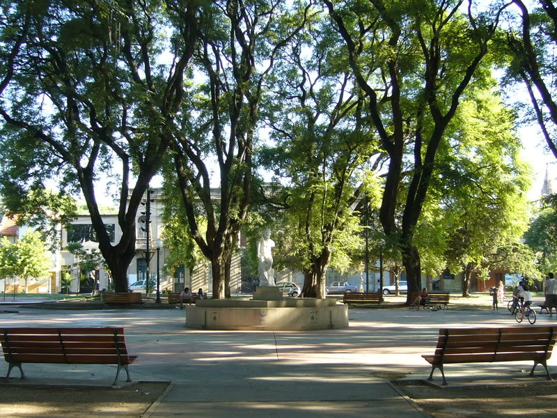 Solicitan poner en valor la Plaza Pueyrredón