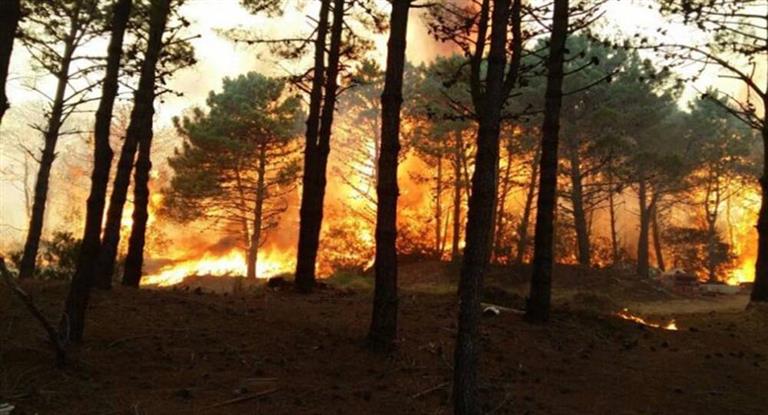 Aseguran que está controlado el voraz incendio en los bosques