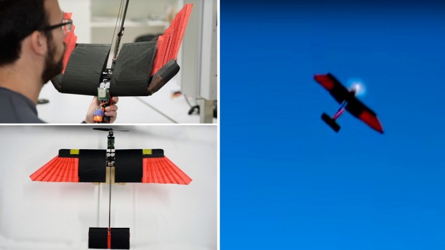 Una universidad fabricó un dron con plumas que imita el vuelo de las aves