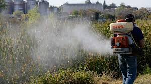 Nuevo cronograma de fumigaciones para esta semana