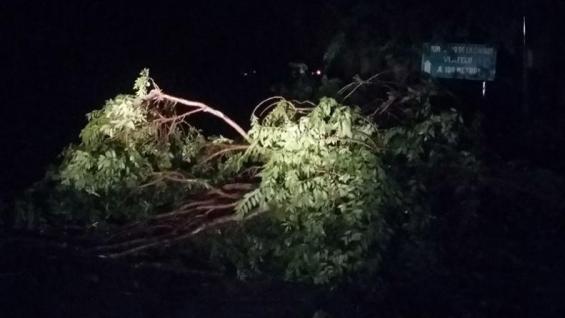 Una cola de tornado causó destrozos en Córdoba