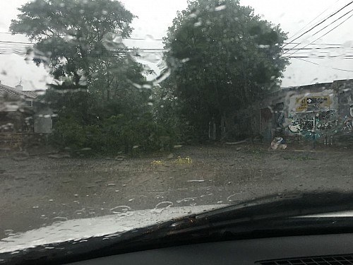 Un fuerte temporal de lluvia y viento afectó Mar del Plata