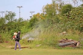 Nuevo cronograma de fumigaciones para esta semana