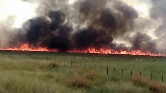 Aseguran que están controlados los incendios que arrasaron con 1.400.000 hectáreas