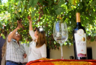La Ruta del Vino, uno de los principales atractivos turísticos 