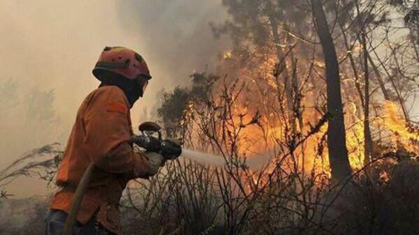 Ya fueron controlados más de la mitad de los focos de incendios activos