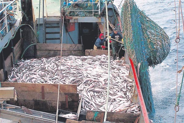 En el límite de lo legal y a metros del Mar Argentino, cientos de barcos depredan el Atlántico Sur