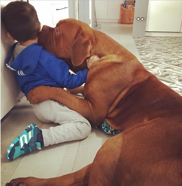 ¡CUÁNTO AMOR! EL HIJO DE MESSI Y SU PERRO EN UNA TIERNA IMAGEN