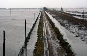 La Nación declaró la emergencia agropecuaria en Santa Fe