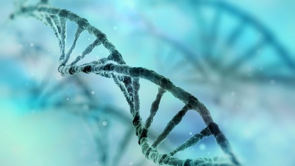 AEH, la enfermedad que tarda trece años en diagnosticarse