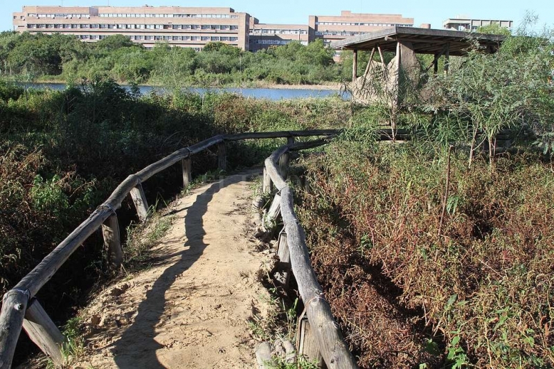 Dos condenados por un abuso sexual en la Reserva Ecológica