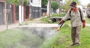Cronograma de fumigaciones para esta semana 