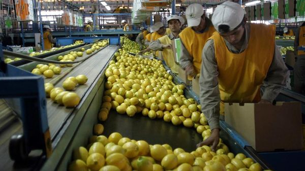 Argentina expresó su malestar por la suspensión al ingreso de limones