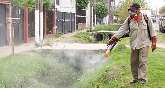 Cronograma de fumigaciones para esta semana 