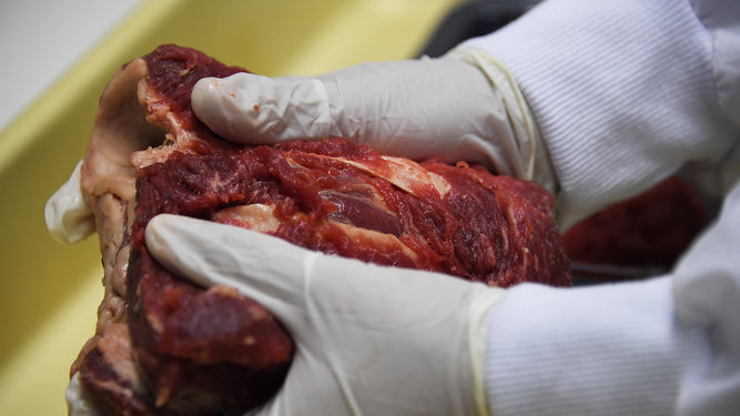El escándalo de las carnes derrumba las exportaciones y piden a la OMC evitar sanciones