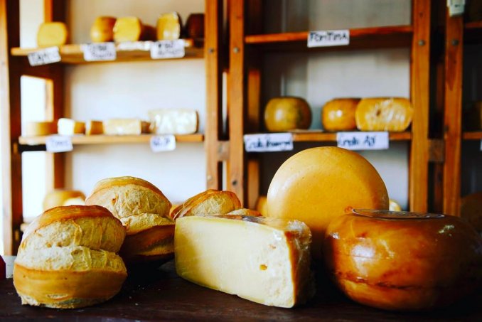 Circuito de sabores: Suipacha, el paraíso del queso