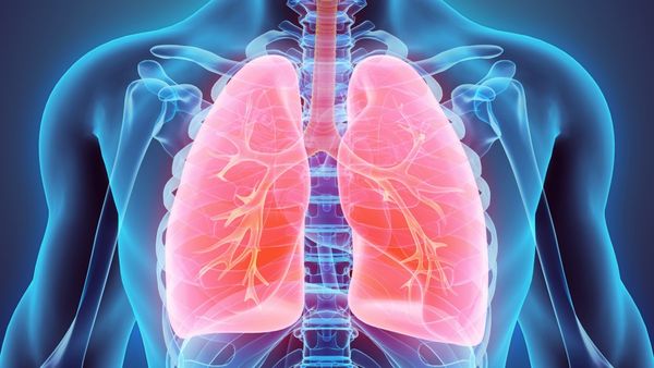 Descubrieron una nueva función clave de los pulmones
