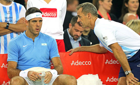DEL POTRO SOBRE LA DAVIS: