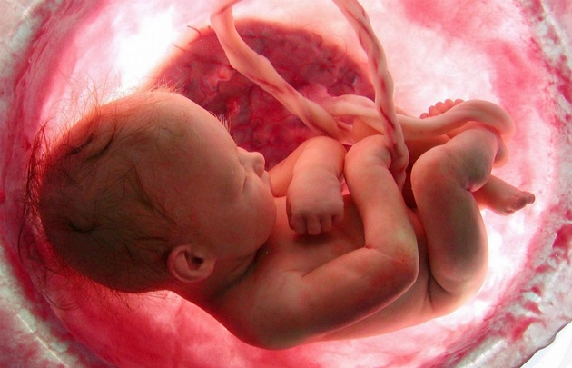 Nacerá en Córdoba el primer bebé con genes 