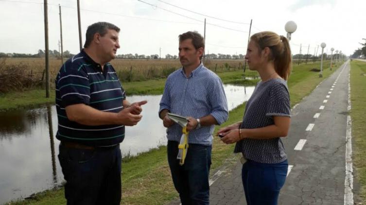 Relevan especies arbóreas en el ingreso a San Carlos Centro