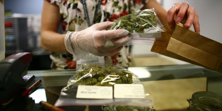 Cannabis medicinal: marcha por el autocultivo