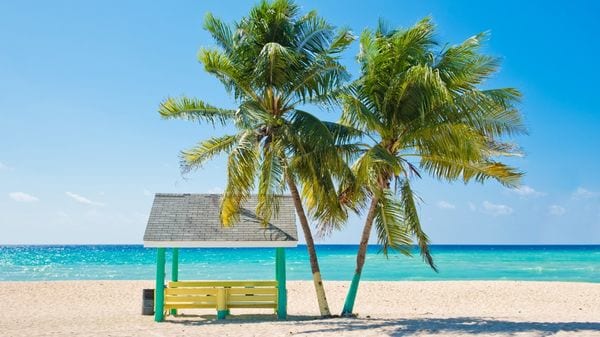 Siete grandes planes para siete días en las Islas Caimán