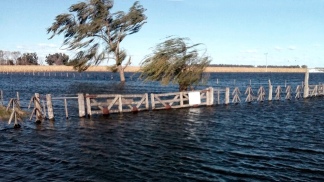 La Pampa: Millonarias pérdidas las inundaciones