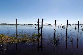 Chaco: Piden la ampliación de la emergencia agropecuaria