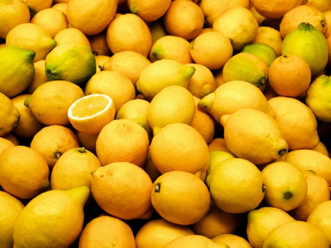 Acuerdan un plan de trabajo para la exportación de limones del NOA a EEUU