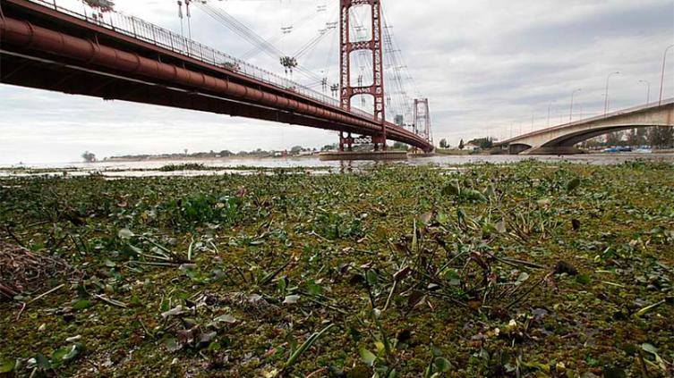 Monitorean las defensas ante la crecida del río Paraná