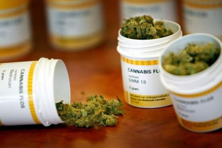 Solicitan la implementación de la ley nacional de cannabis medicinal