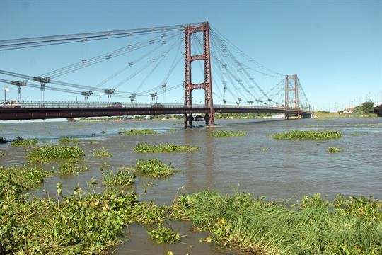 El Paraná a centímetros del nivel de alerta en la ciudad