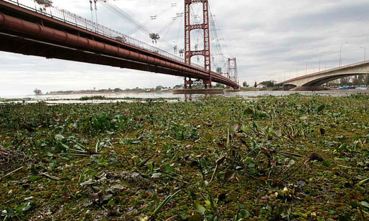 El río Paraná alcanzó el nivel de alerta en Santa Fe