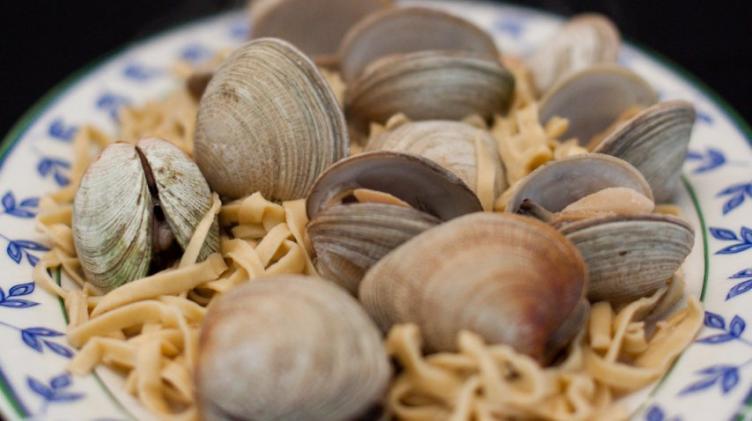 Puerto Madryn se perfila como el mejor destino gastronómico de la Patagonia