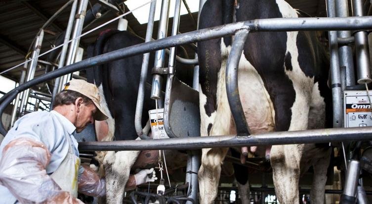 Productores advierten que 