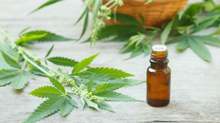 Crecen los pedidos para tratamientos con aceite de cannabis