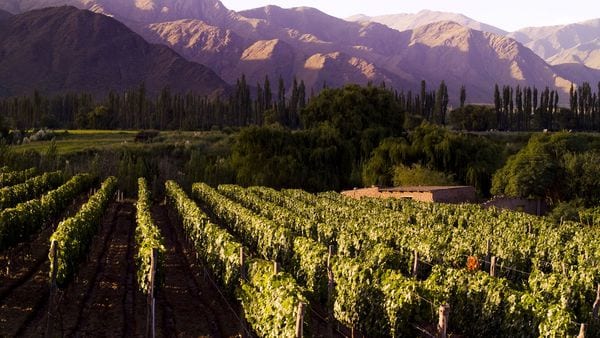 El norte argentino, el destino más elegido en las vacaciones de invierno