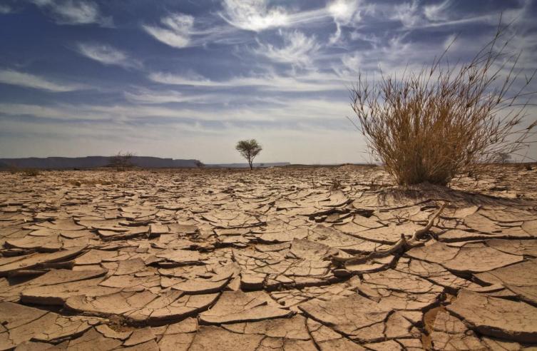 Preocupaciones por el cambio climático