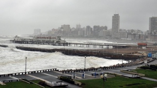 Mar del Plata: caída de árboles y cortes de energía eléctrica por el temporal