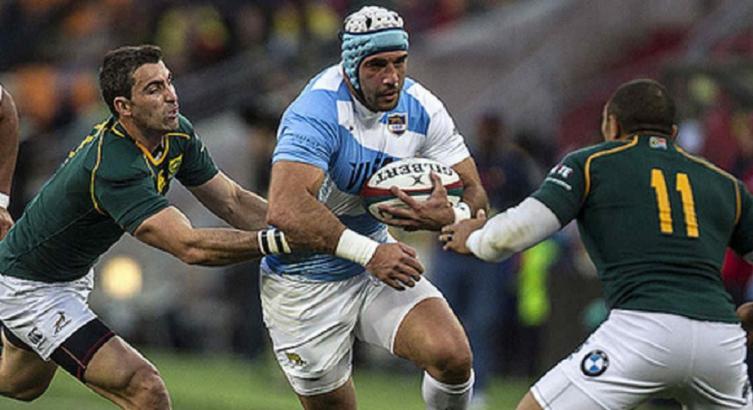 NUEVOS CONVOCADOS A LOS PUMAS