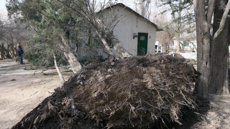 Dos muertos tras un temporal de viento en Neuquén