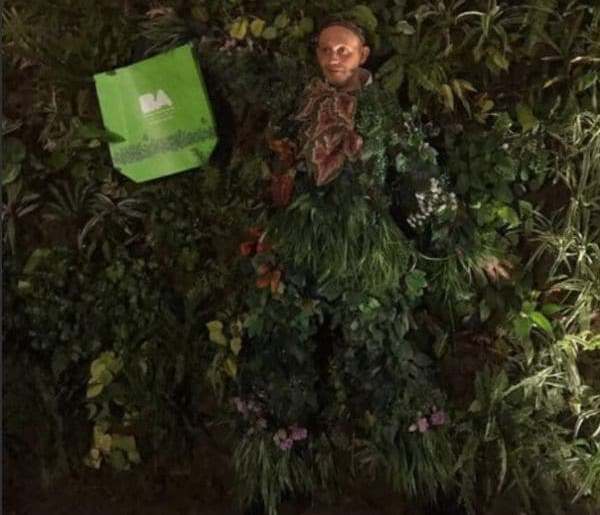 Bergman se disfrazó de planta y estallaron las redes sociales