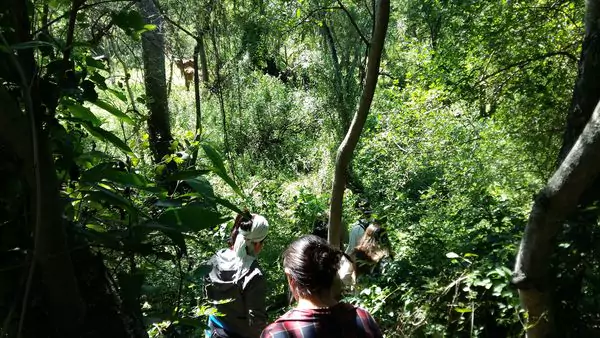 Se inauguró el Parque Nacional El Impenetrable