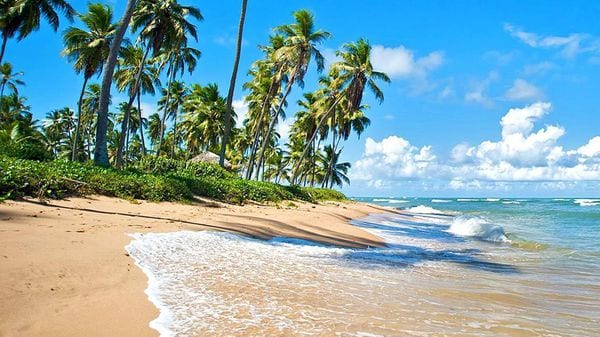Praia do Forte: un paseo por el destino más chic de Bahía