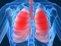 En el Día Mundial de la Fibrosis Quística, buscan concientizar sobre esta enfermedad
