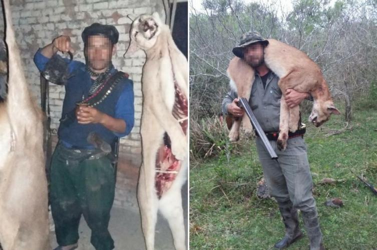Mataba pumas y desafiaba a la policía