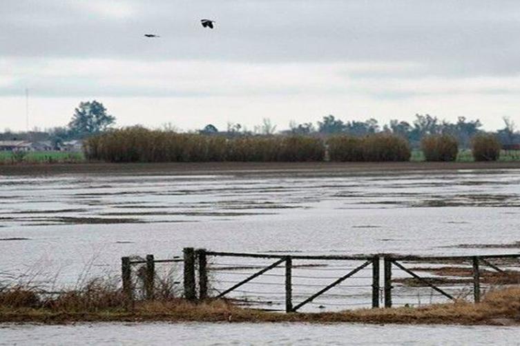 Declaran la emergencia agropecuaria 
