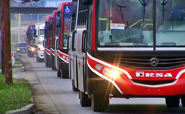 Fiesta de disfraces: colectivos gratuitos hacia el predio
