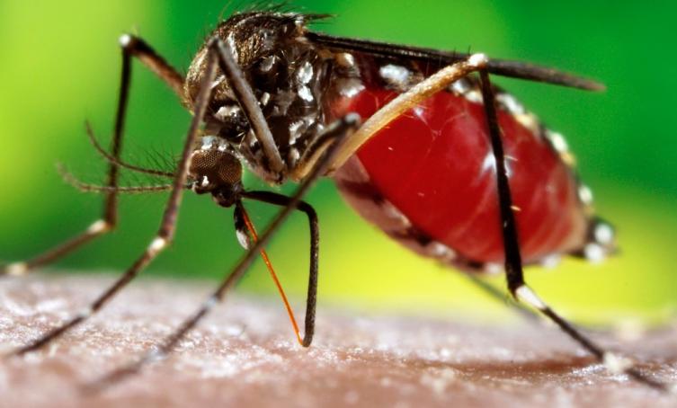 Concientización sobre Dengue, Zika y Chicunguña