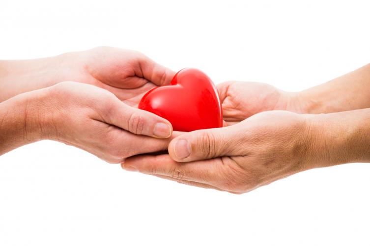 Consejos para quienes desean ser donantes de órganos 